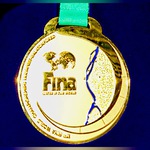 image of 2017 FINA World Championships gold medal